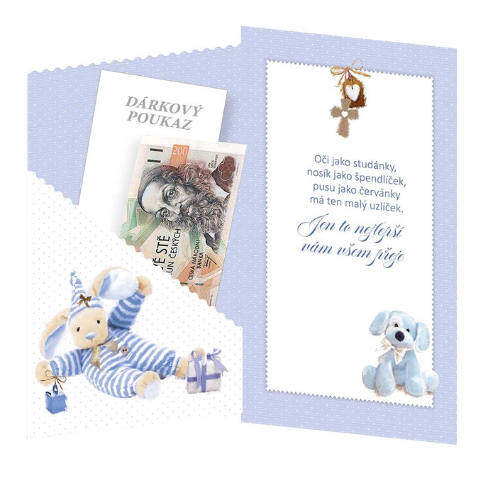 16-659 Blahopřání k narození dítěte s klopou na peníze CZ