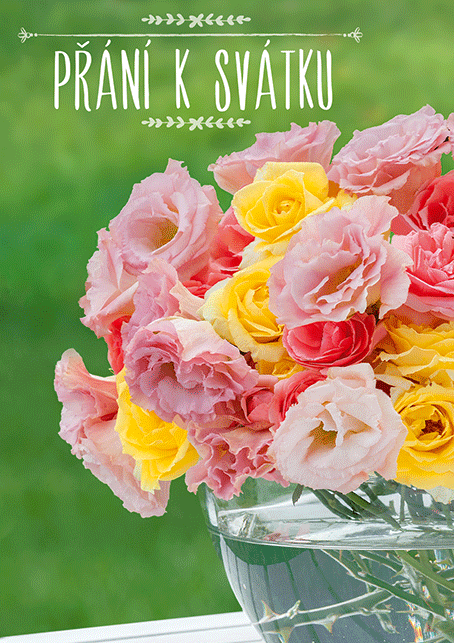 0615-0579c Pohlednice gratulační CZ