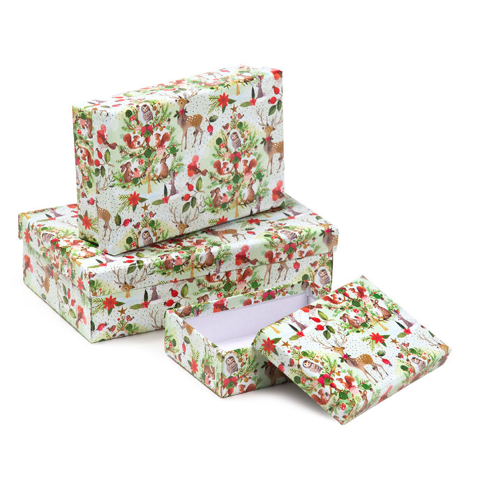 2500-1181 Dárková krabice, set 10ks