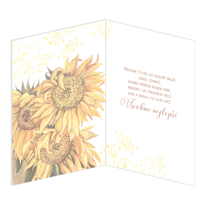 75-671 Blahopřání gratulační CZ/50