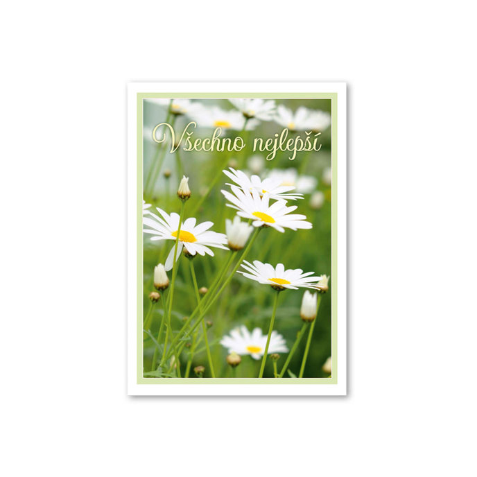 0615-0581c Card for birthdays, name days CZ