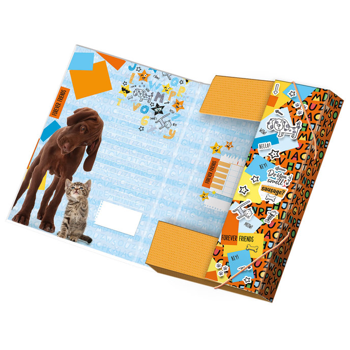 1231-0307 Box na sešity A4 Forever friends