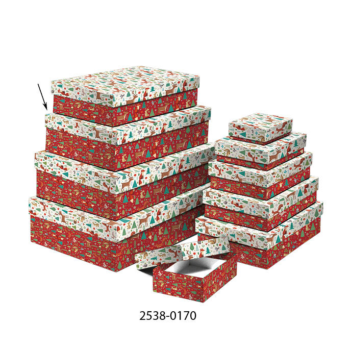 2538-0170 Dárková krabice 22,4x14,4x6,3cm /2500-8170/