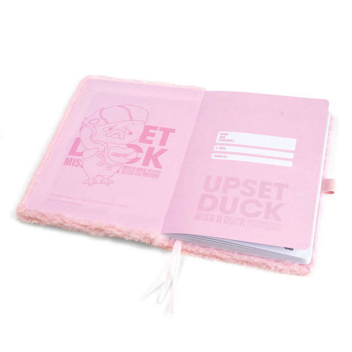 1452-0002 Zápisník 14,8x21cm UPSET DUCK