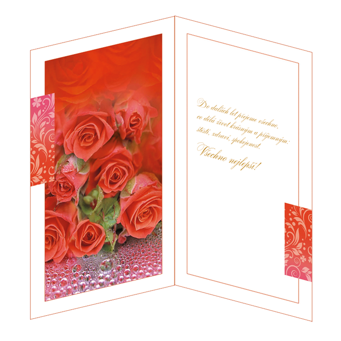 15-6109 Blahopřání gratulační 2 str. CZ/60