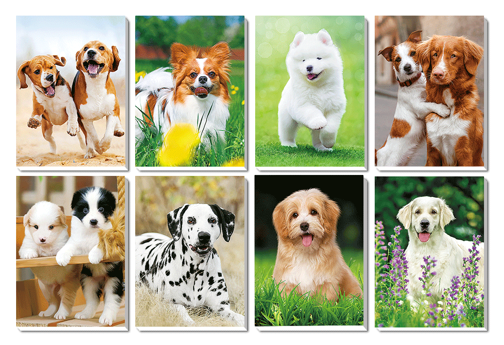 1116-0002 Trhací zápisník s magnetem 3D efekt