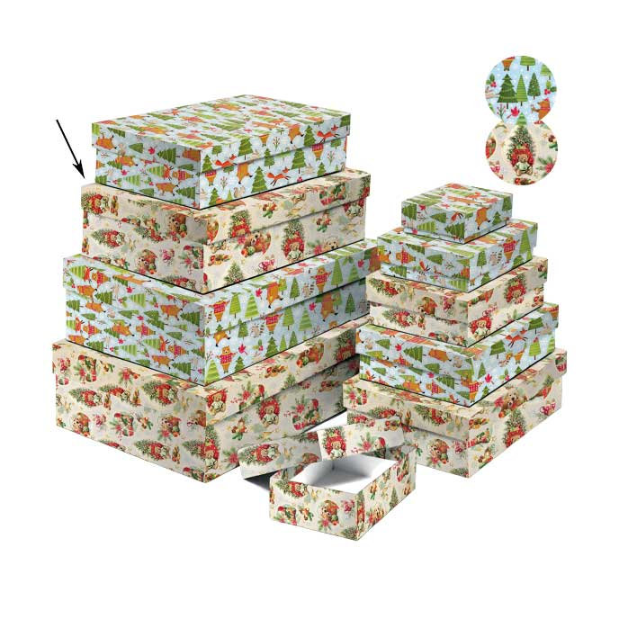 2538-1173 Dárková krabice 22,4x14,4x6,3cm /2500-1173/