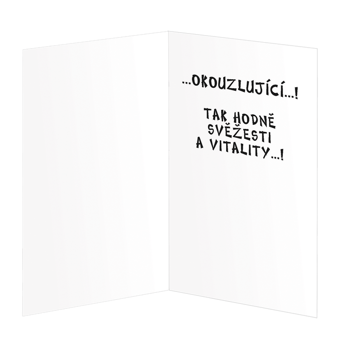190-647c Blahopřání gratulační  CZ