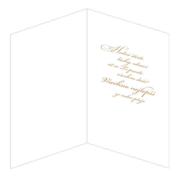 15-7052 Blahopřání gratulační CZ