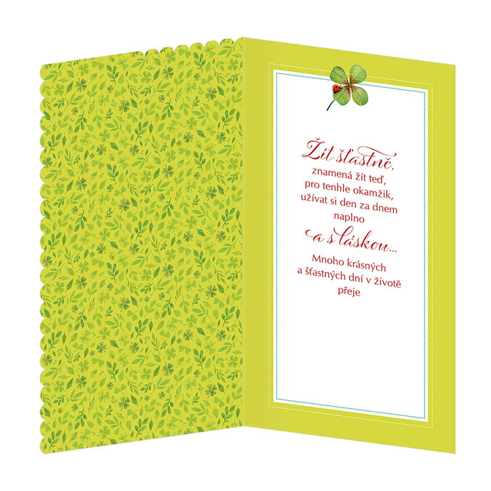 15-6480 Blahopřání gratulační  CZ