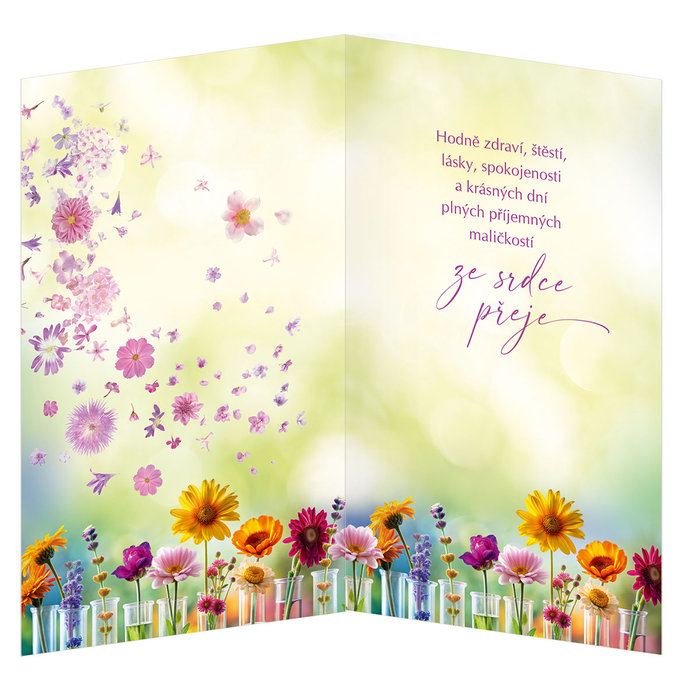 55-604 Blahoprajná karta gratulační CZ