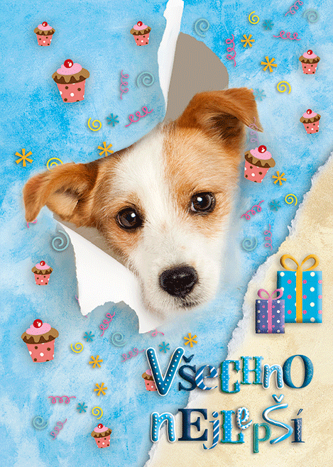 0616-0630c Pohlednice zvířata 3D CZ