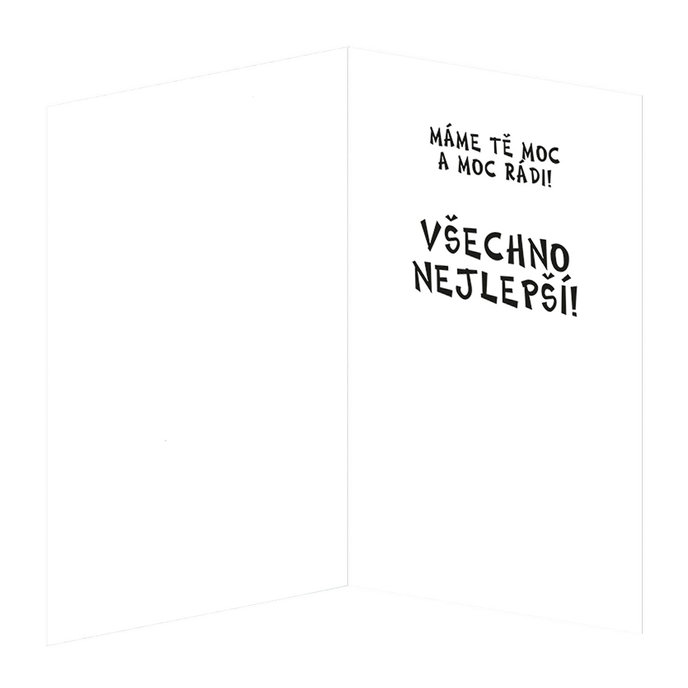 190-656c Blahopřání gratulační CZ