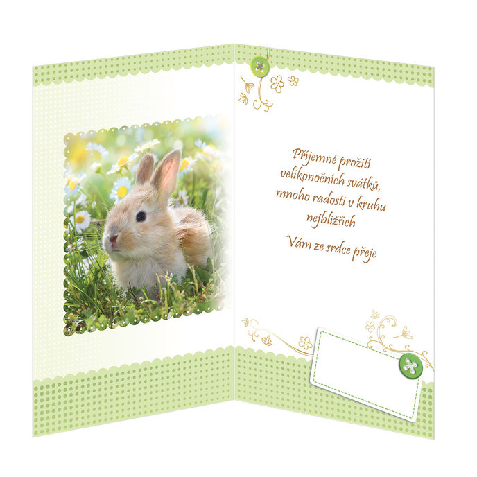 12-681 Easter greeting card CZ