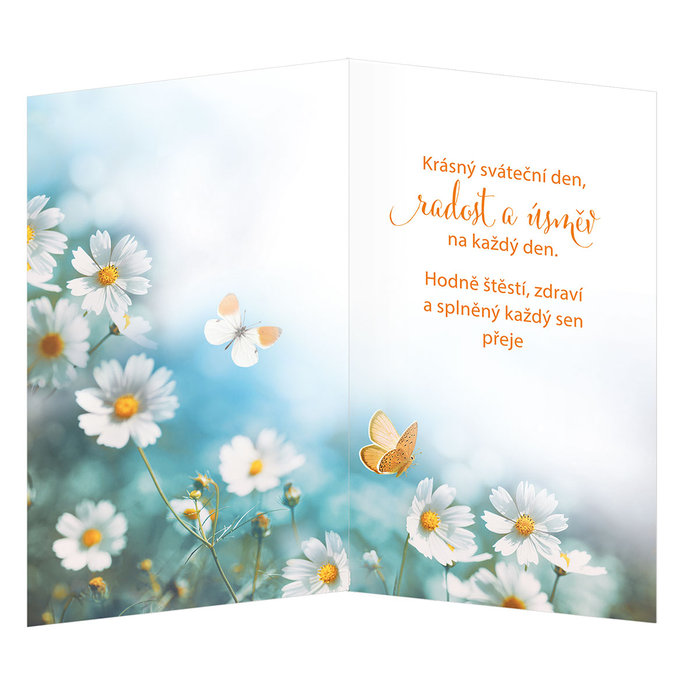 15-6548 Blahoprajná karta gratulační CZ