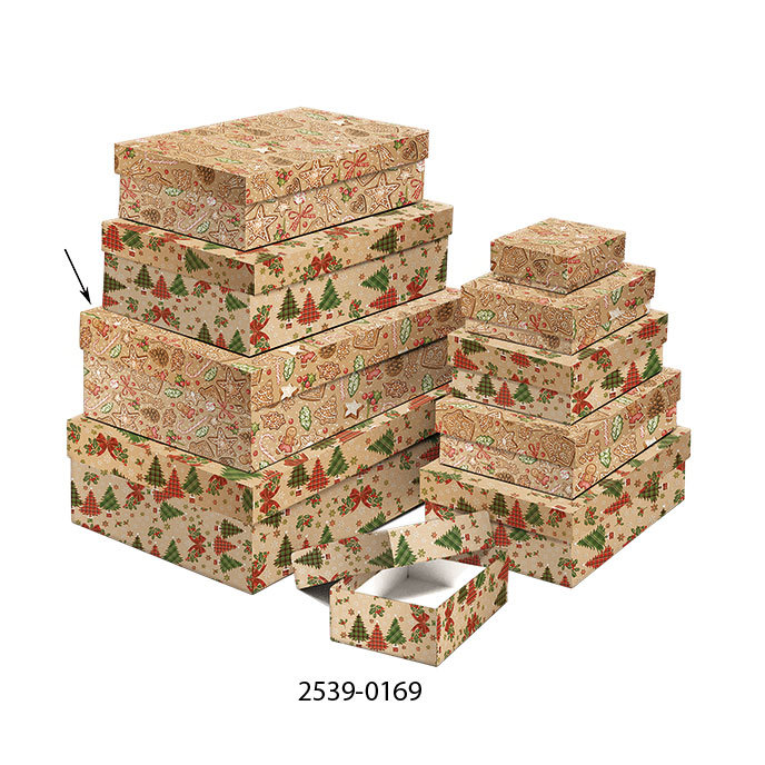 2539-0169 Dárková krabice 24,5x16,5x6,6cm /2500-8169/