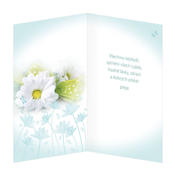 15-6417 nBlahopřání gratulační  CZ