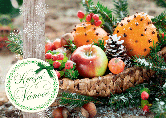 71-9005c Vánoční přání 3D CZ