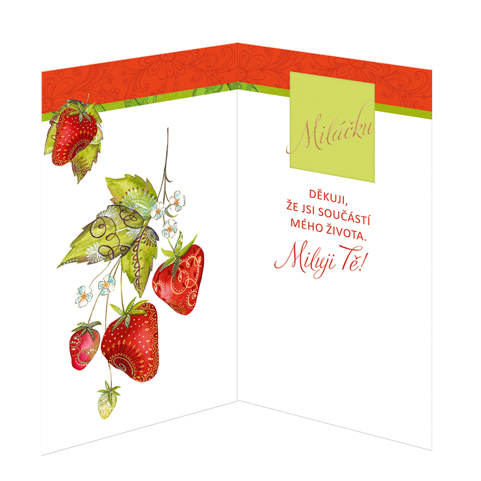 15-6202 Greeting card CZ