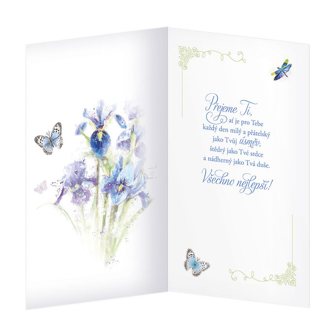 15-6385 Blahopřání gratulační  CZ/70