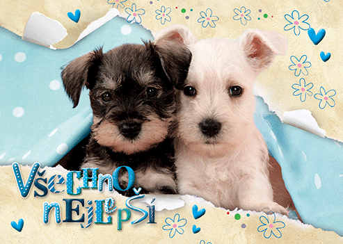 0616-0630c Pohlednice zvířata 3D CZ