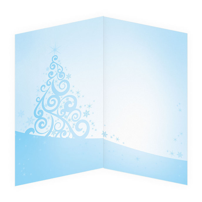 11-6160 Vánoční přání DE