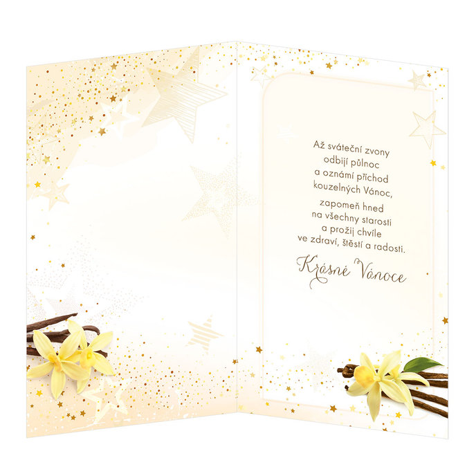 11-6385 Christmas greeting card CZ