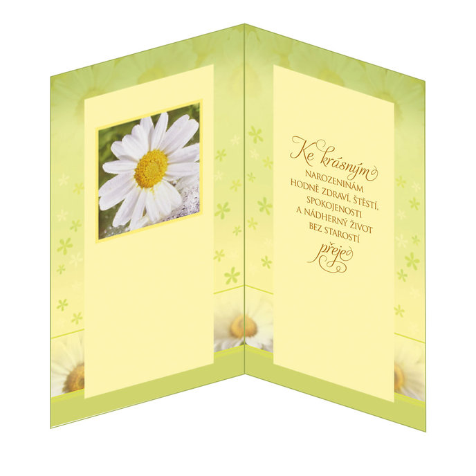 15-6107 Blahopřání gratulační CZ