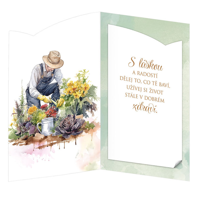 15-6588 Blahopřání gratulační  CZ/60