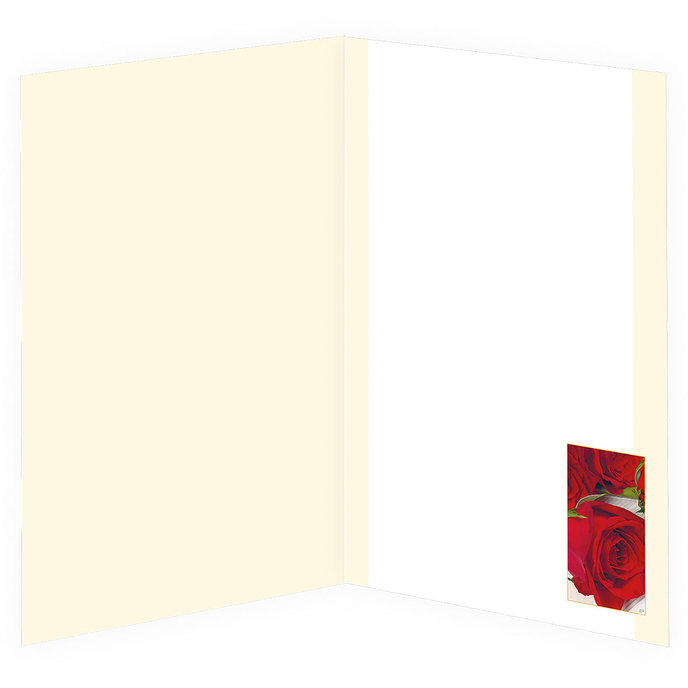 15-6299 Greeting card DE/50