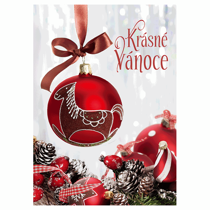 0611-0265c Christmas postcard 3D CZ