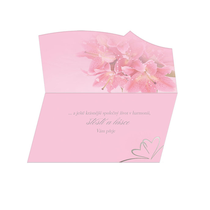 13-6084 Blahopřání svatební CZ