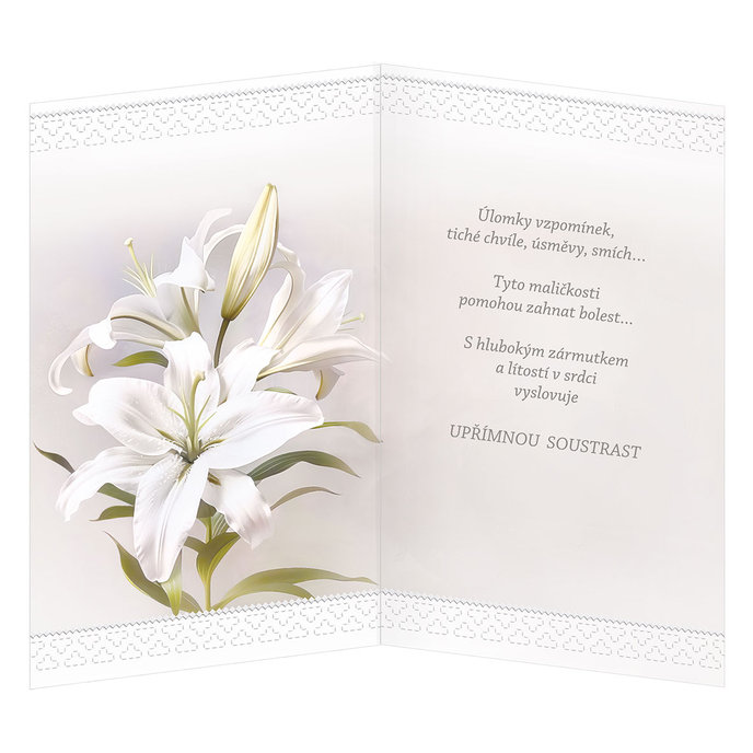 14-639 Blahopřání kondolenční CZ