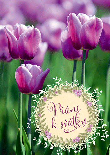 0615-0578c Pohlednice gratulační CZ