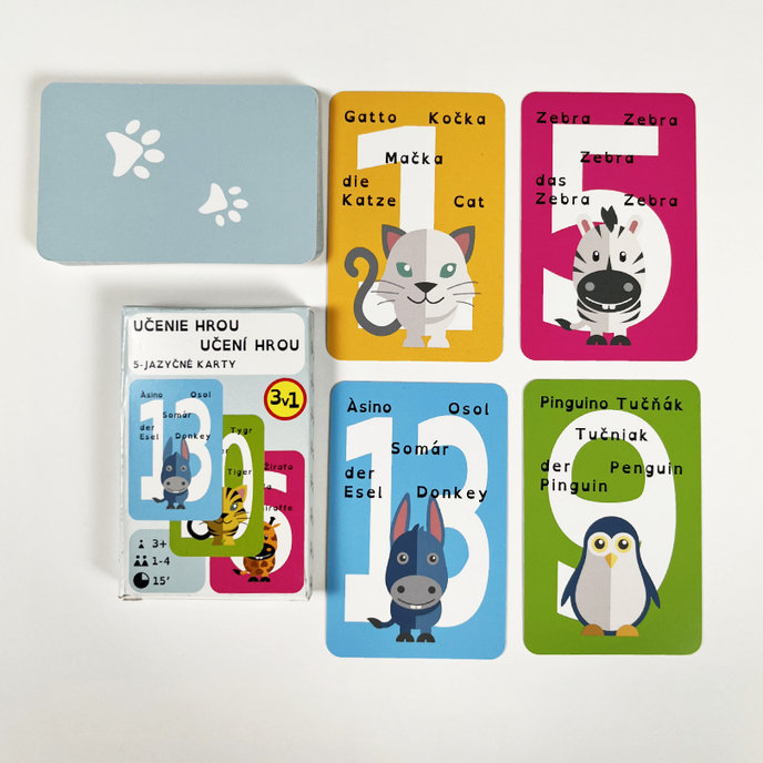 2201-0053 Edukační hrací karty
