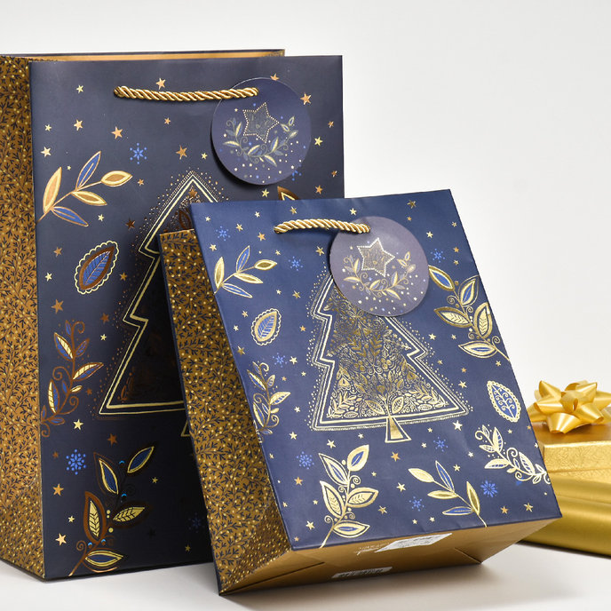 0849-0166 Gift bag LUX