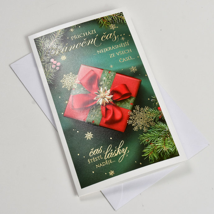 11-6573 Christmas greeting card with leap CZ