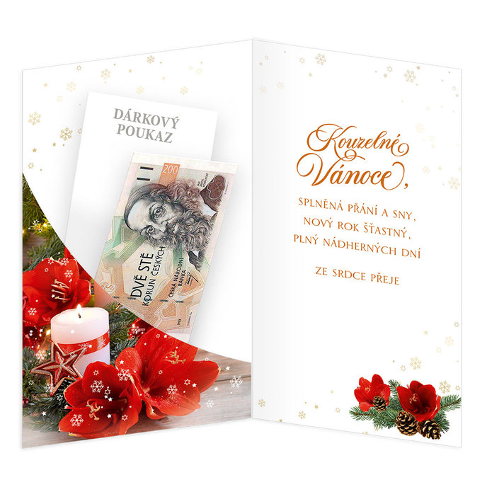 11-6526 Vánoční přání s kapsou na peníze CZ