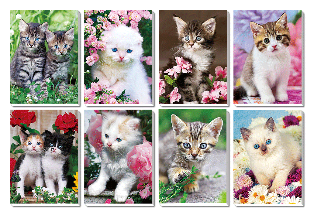 1116-0003 Trhací zápisník s magnetem 3D efekt