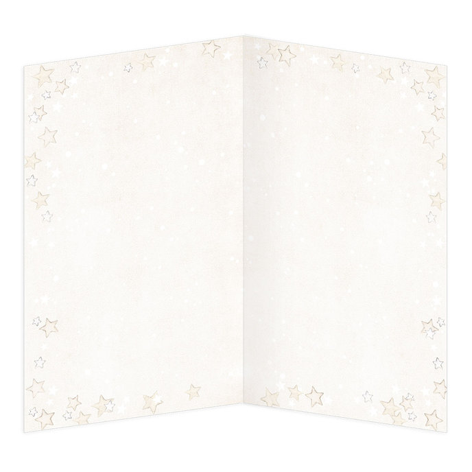 11-6495 Vánoční přání BT