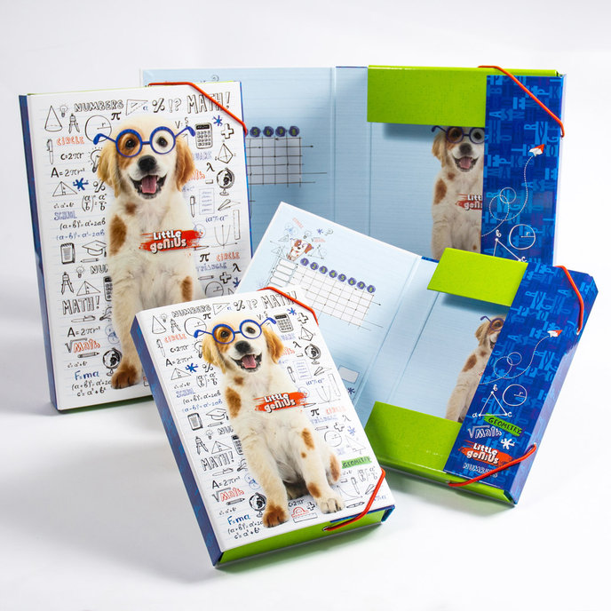 1231-0366 Box na sešity A4 Little Genius