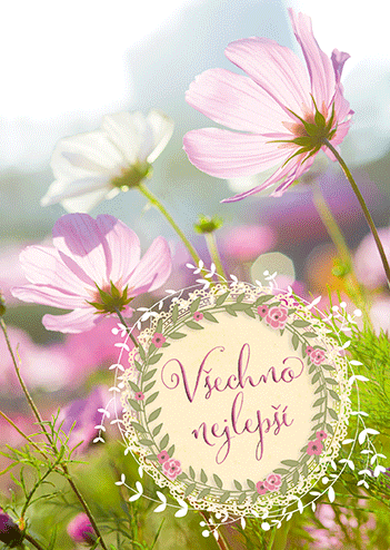 0615-0578c Pohlednice gratulační CZ