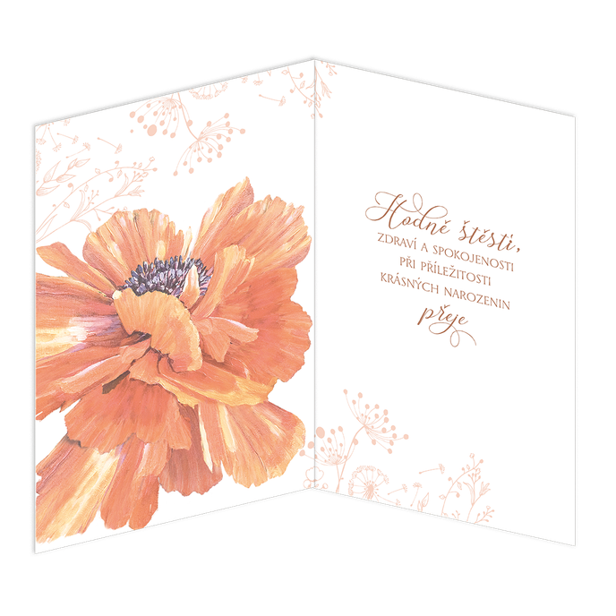 75-672 Blahopřání gratulační CZ/80