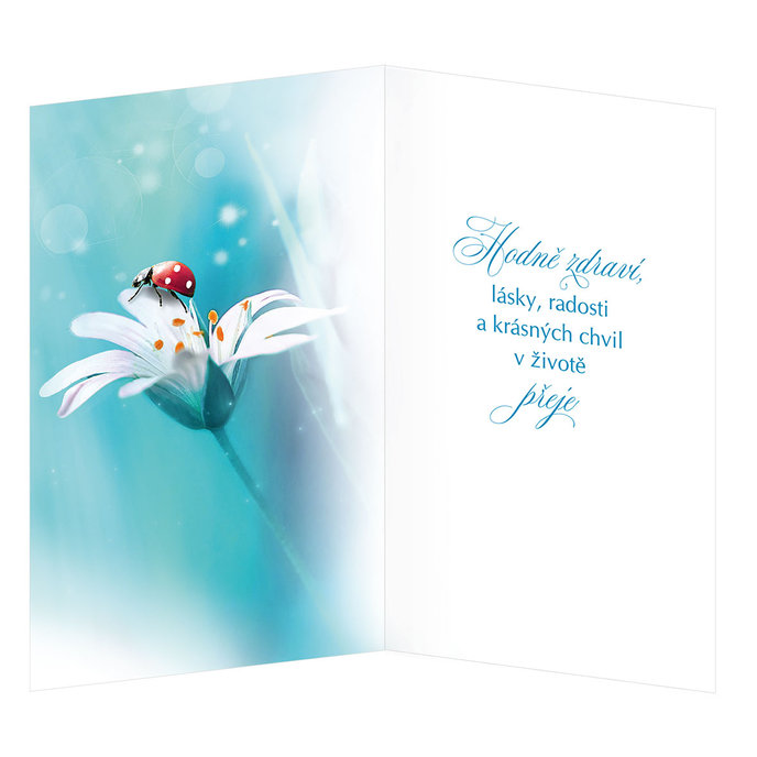 15-6550 Blahoprajná karta gratulační CZ