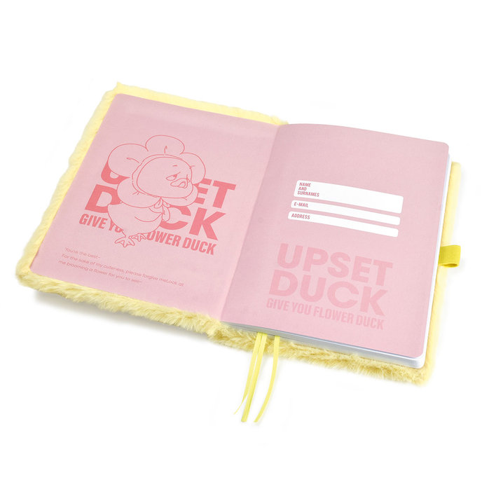 1452-0003 Zápisník 14,8x21cm UPSET DUCK
