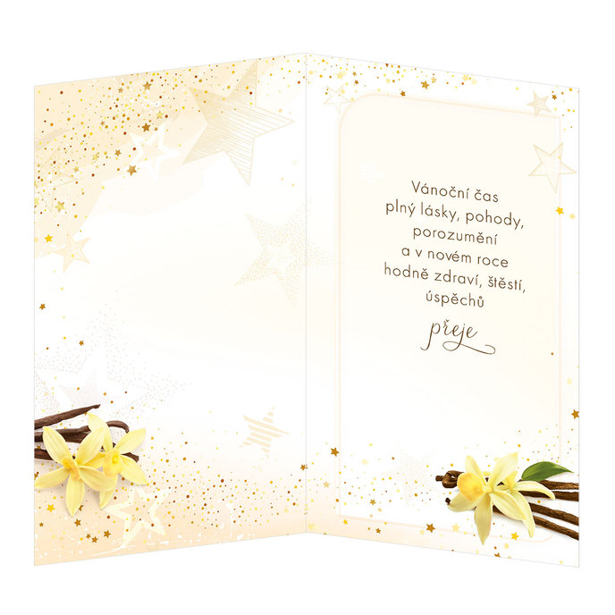 11-6385-2 Christmas greeting card CZ