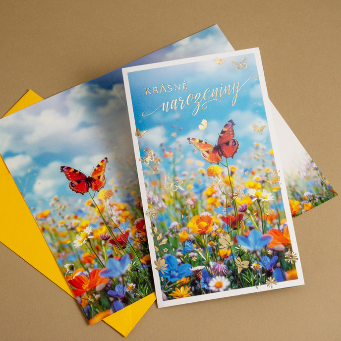 55-606 Blahopřání gratulační CZ