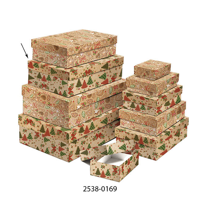 2538-0169 Dárková krabice  22,4x14,4x6,3cm /2500-8169/