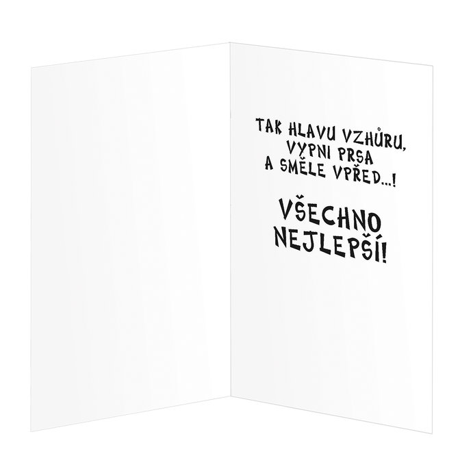 190-641c Blahopřání gratulační  CZ