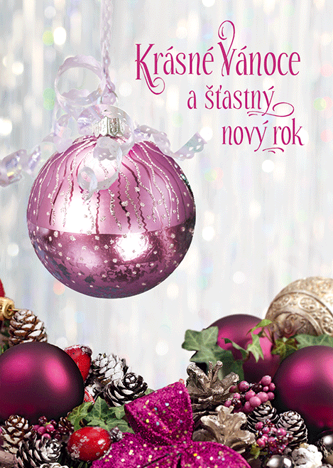 0611-0265c Christmas postcard 3D CZ